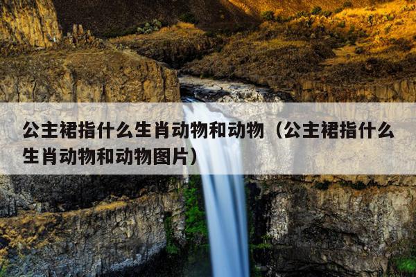 公主裙指什么生肖动物和动物（公主裙指什么生肖动物和动物图片）