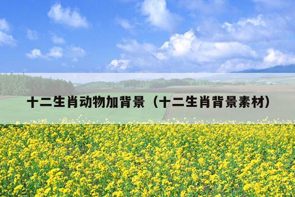 十二生肖动物加背景（十二生肖背景素材）
