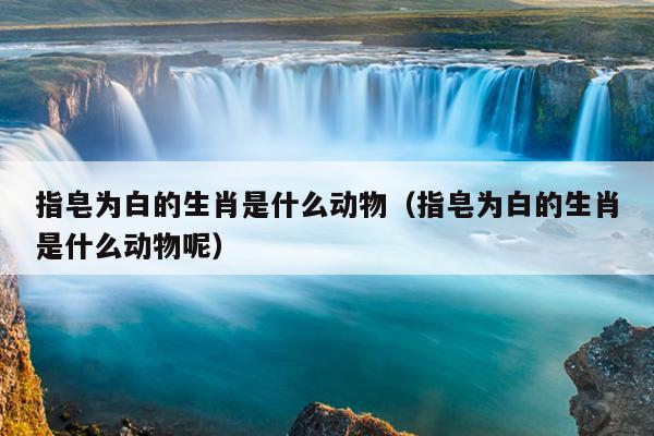 指皂为白的生肖是什么动物（指皂为白的生肖是什么动物呢）