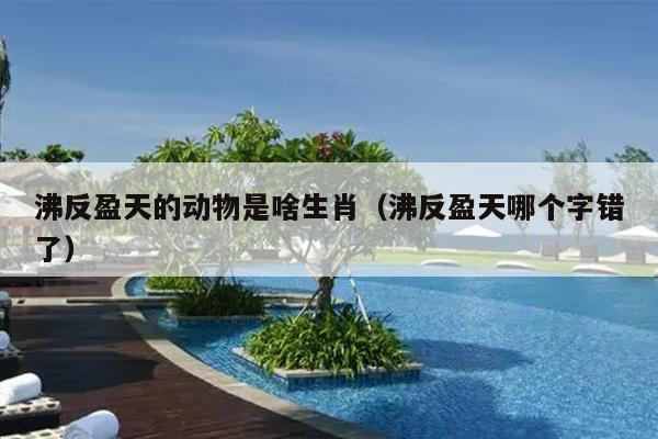 沸反盈天的动物是啥生肖（沸反盈天哪个字错了）