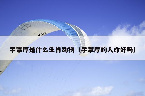 手掌厚是什么生肖动物（手掌厚的人命好吗）