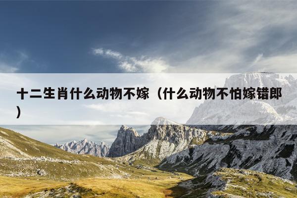 十二生肖什么动物不嫁（什么动物不怕嫁错郎）