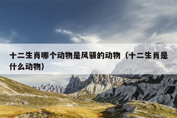十二生肖哪个动物是风骚的动物（十二生肖是什么动物）