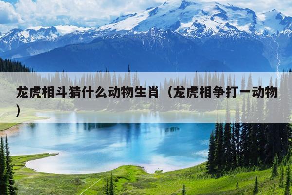 龙虎相斗猜什么动物生肖（龙虎相争打一动物）