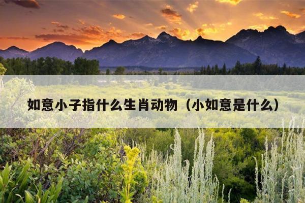 如意小子指什么生肖动物（小如意是什么）