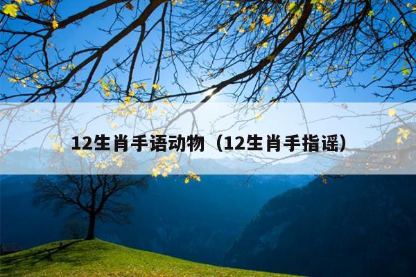 12生肖手语动物（12生肖手指谣）