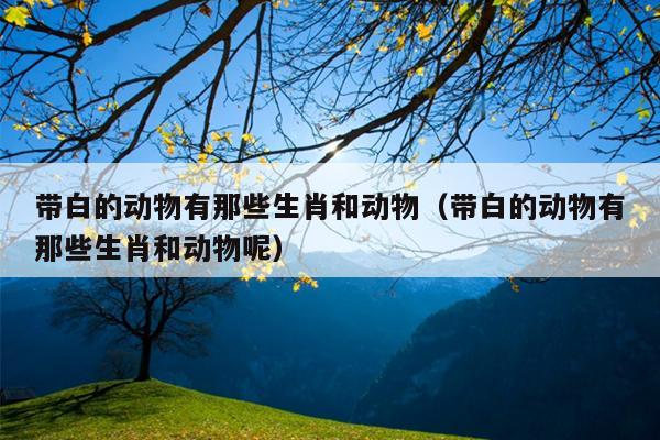带白的动物有那些生肖和动物（带白的动物有那些生肖和动物呢）