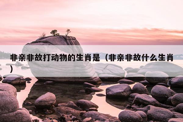 非亲非故打动物的生肖是（非亲非故什么生肖）