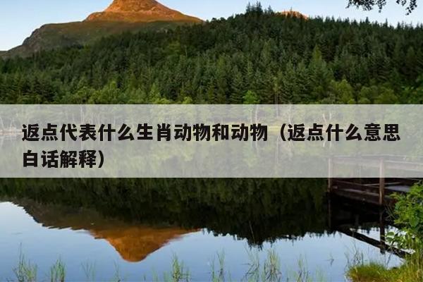返点代表什么生肖动物和动物（返点什么意思白话解释）