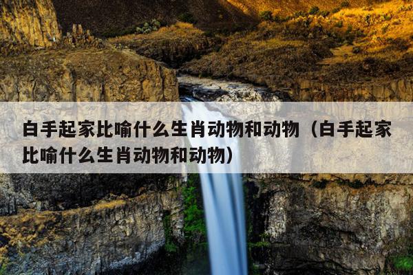 白手起家比喻什么生肖动物和动物（白手起家比喻什么生肖动物和动物）