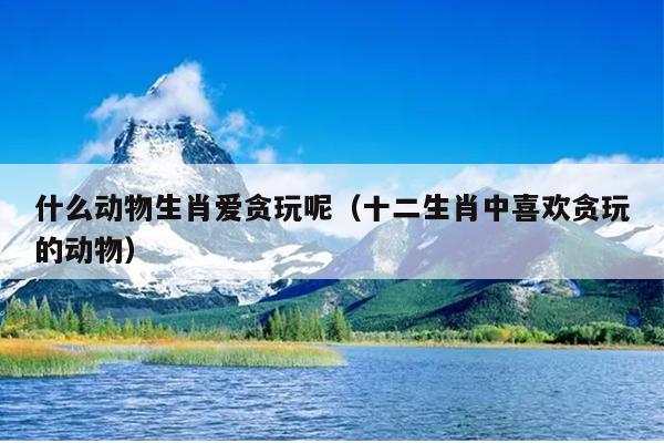 什么动物生肖爱贪玩呢（十二生肖中喜欢贪玩的动物）