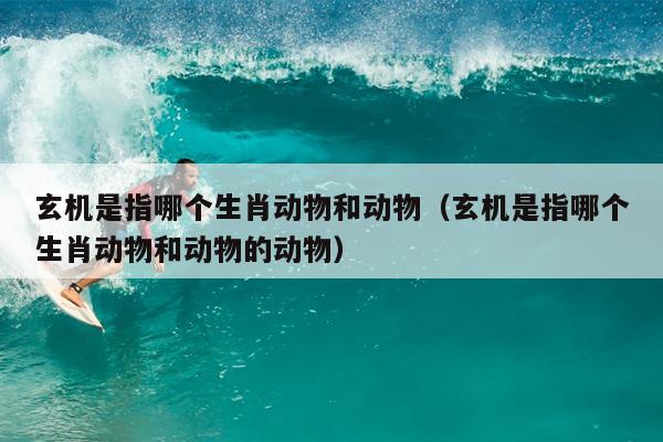 玄机是指哪个生肖动物和动物（玄机是指哪个生肖动物和动物的动物）