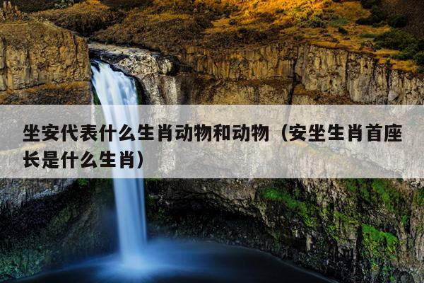 坐安代表什么生肖动物和动物（安坐生肖首座长是什么生肖）