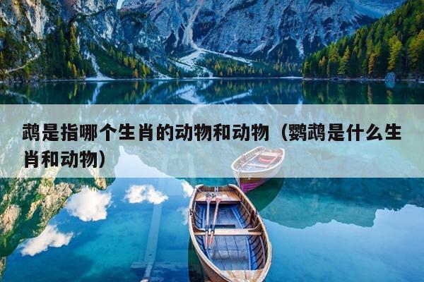 鹉是指哪个生肖的动物和动物（鹦鹉是什么生肖和动物）
