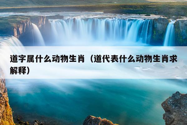 道字属什么动物生肖（道代表什么动物生肖求解释）