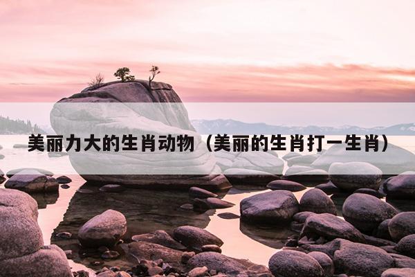美丽力大的生肖动物（美丽的生肖打一生肖）