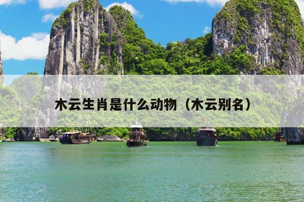 木云生肖是什么动物（木云别名）