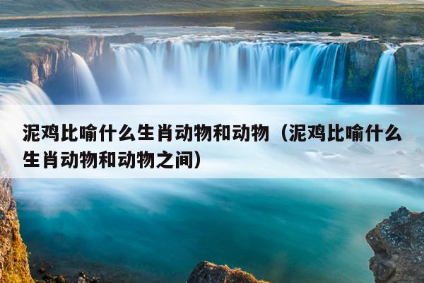 泥鸡比喻什么生肖动物和动物（泥鸡比喻什么生肖动物和动物之间）