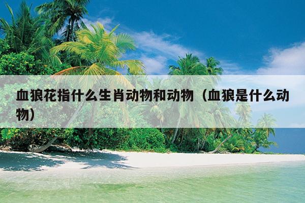 血狼花指什么生肖动物和动物（血狼是什么动物）