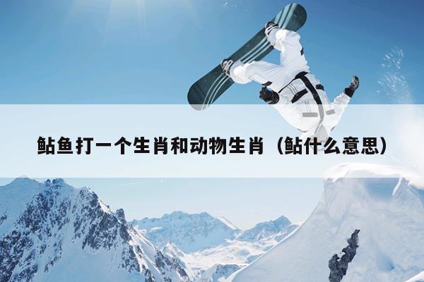 鲇鱼打一个生肖和动物生肖（鲇什么意思）