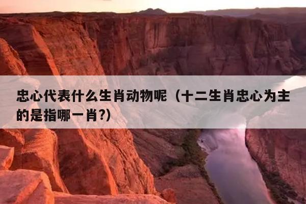 忠心代表什么生肖动物呢（十二生肖忠心为主的是指哪一肖?）