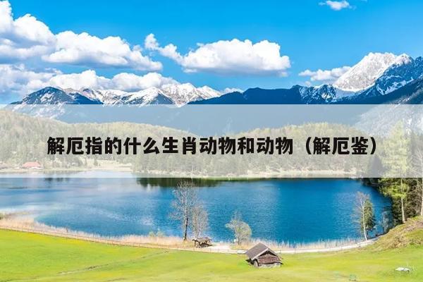 解厄指的什么生肖动物和动物（解厄鉴）