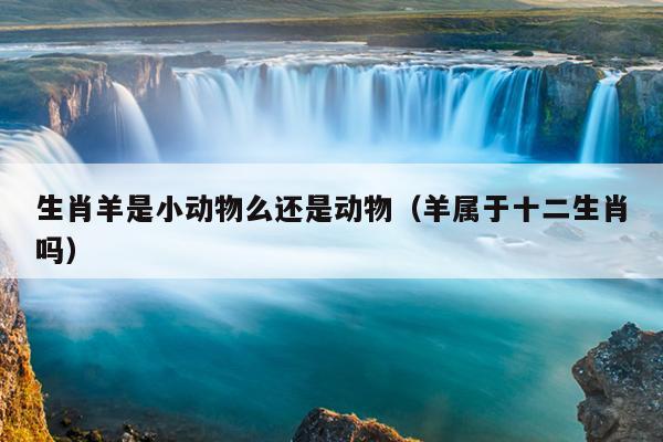 生肖羊是小动物么还是动物（羊属于十二生肖吗）