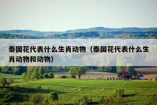 泰国花代表什么生肖动物（泰国花代表什么生肖动物和动物）