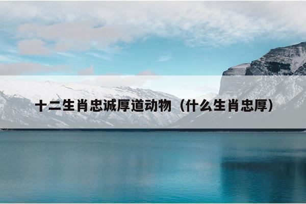 十二生肖忠诚厚道动物（什么生肖忠厚）