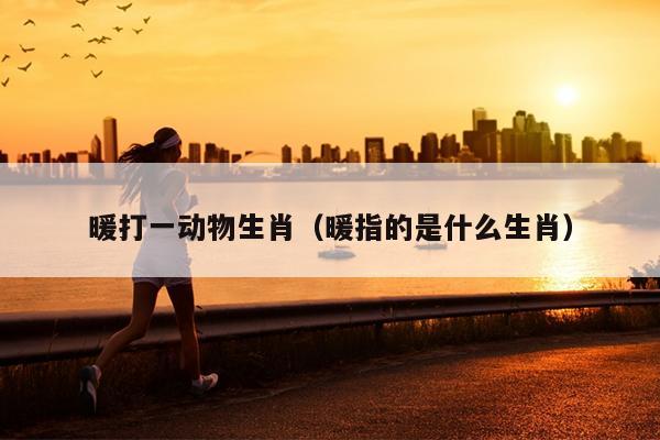 暖打一动物生肖（暖指的是什么生肖）