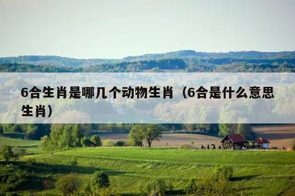 6合生肖是哪几个动物生肖（6合是什么意思生肖）