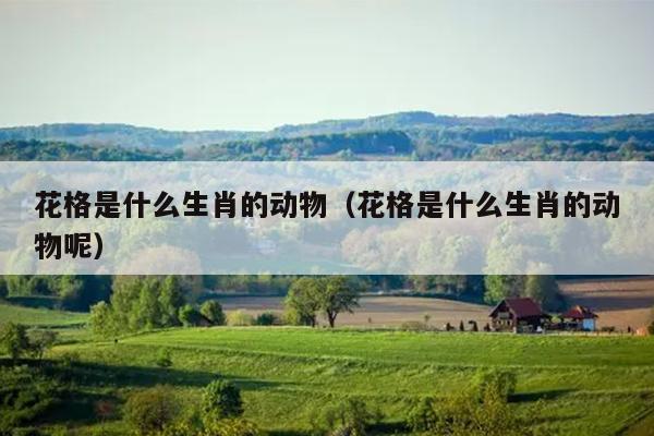 花格是什么生肖的动物（花格是什么生肖的动物呢）