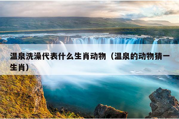 温泉洗澡代表什么生肖动物（温泉的动物猜一生肖）