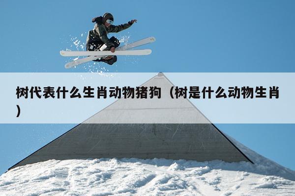 树代表什么生肖动物猪狗（树是什么动物生肖）
