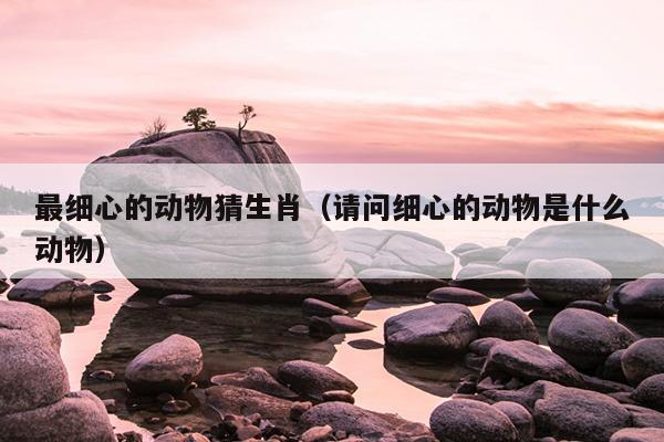 最细心的动物猜生肖（请问细心的动物是什么动物）