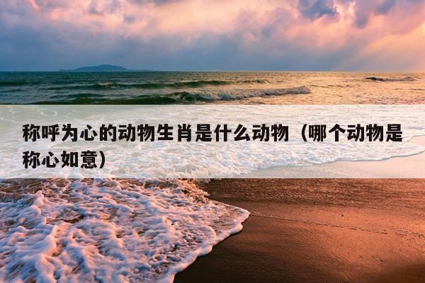 称呼为心的动物生肖是什么动物（哪个动物是称心如意）