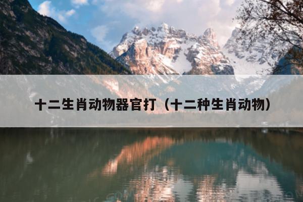 十二生肖动物器官打（十二种生肖动物）