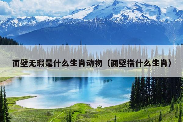 面壁无瑕是什么生肖动物（面壁指什么生肖）