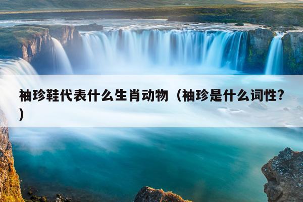 袖珍鞋代表什么生肖动物（袖珍是什么词性?）