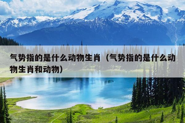 气势指的是什么动物生肖（气势指的是什么动物生肖和动物）