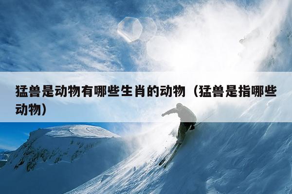 猛兽是动物有哪些生肖的动物（猛兽是指哪些动物）