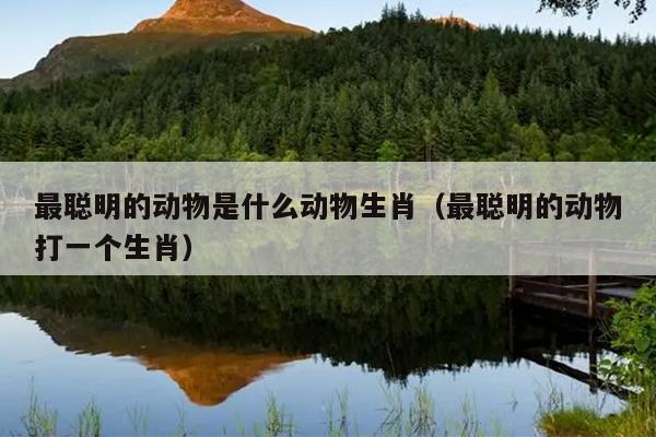 最聪明的动物是什么动物生肖（最聪明的动物打一个生肖）