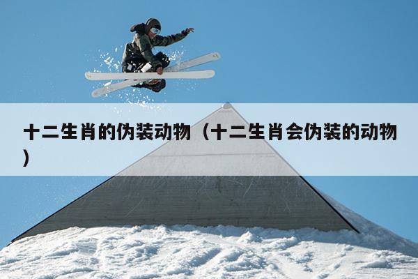 十二生肖的伪装动物（十二生肖会伪装的动物）
