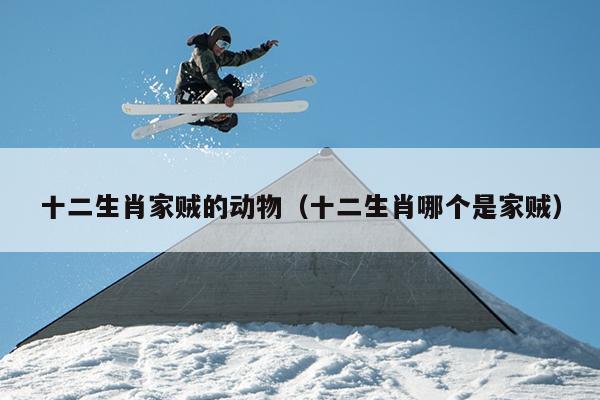 十二生肖家贼的动物（十二生肖哪个是家贼）