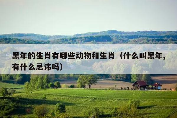 黑年的生肖有哪些动物和生肖（什么叫黑年,有什么忌讳吗）