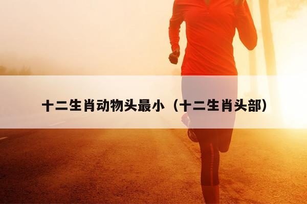 十二生肖动物头最小（十二生肖头部）