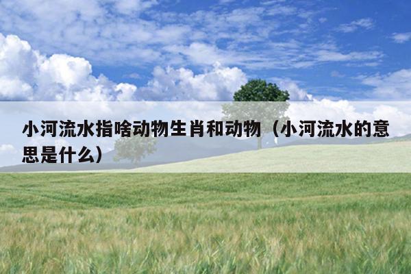 小河流水指啥动物生肖和动物（小河流水的意思是什么）