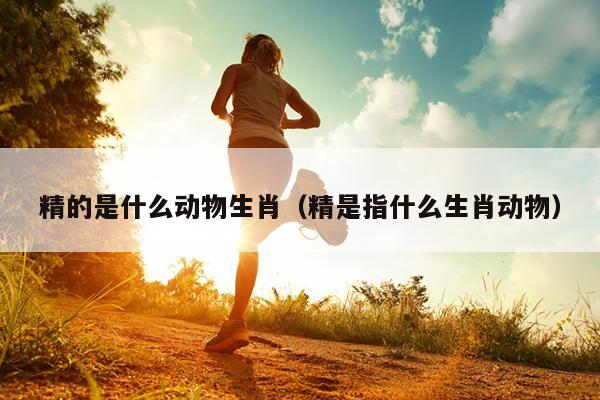 精的是什么动物生肖（精是指什么生肖动物）
