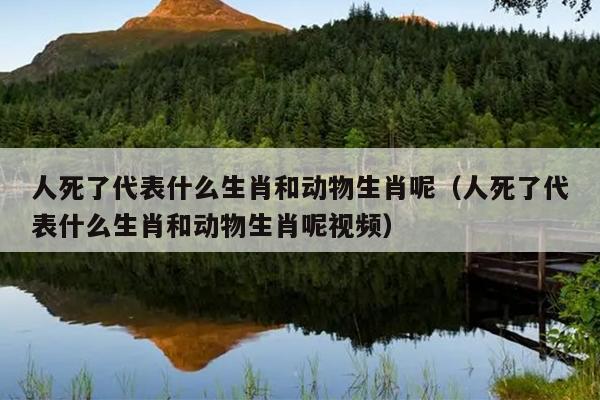 人死了代表什么生肖和动物生肖呢（人死了代表什么生肖和动物生肖呢视频）