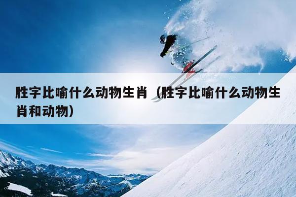 胜字比喻什么动物生肖（胜字比喻什么动物生肖和动物）